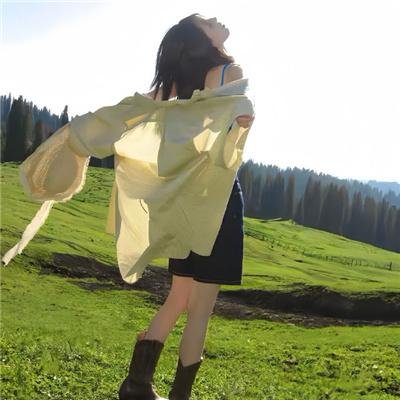 普京宫殿：史上最大的贿赂 在线观看封面